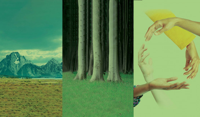scg-visual1-triptyc_390x228