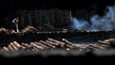 website featured image - 390 x 220 (1)
